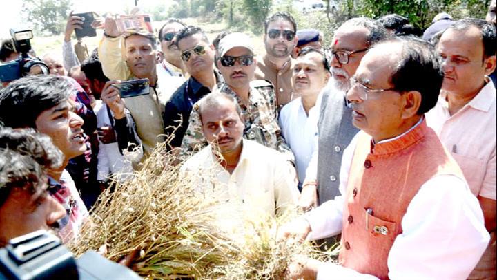 मुख्यमंत्री श्री चौहान ने किया विदिशा के ओला-वृष्टि प्रभावित गाँव का दौरा
